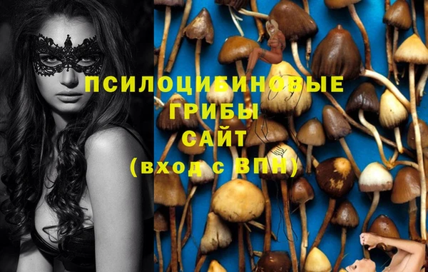 jwh Алзамай
