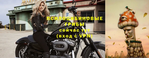 ALPHA PVP Алексин