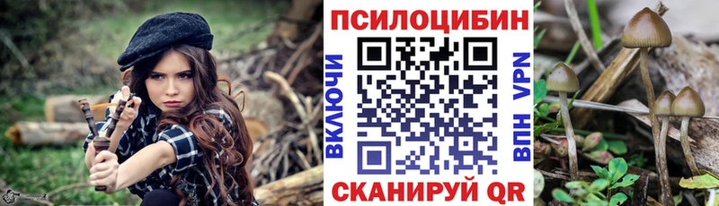 Галлюциногенные грибы Cubensis  Андреаполь 